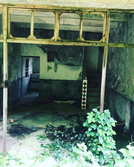 هوتوان.. قرية مهجورة ساحرة غمرتها الأعشاب! صور صورة رقم 15