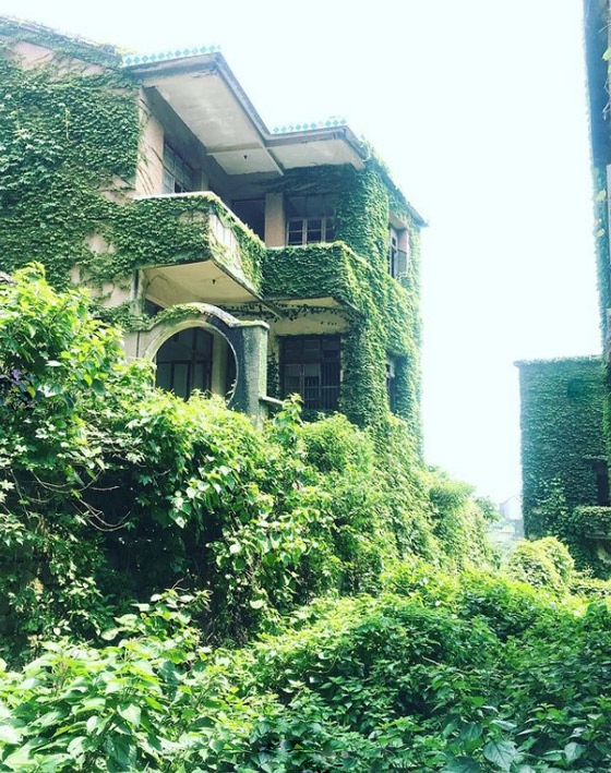 هوتوان.. قرية مهجورة ساحرة غمرتها الأعشاب! صور صورة رقم 16