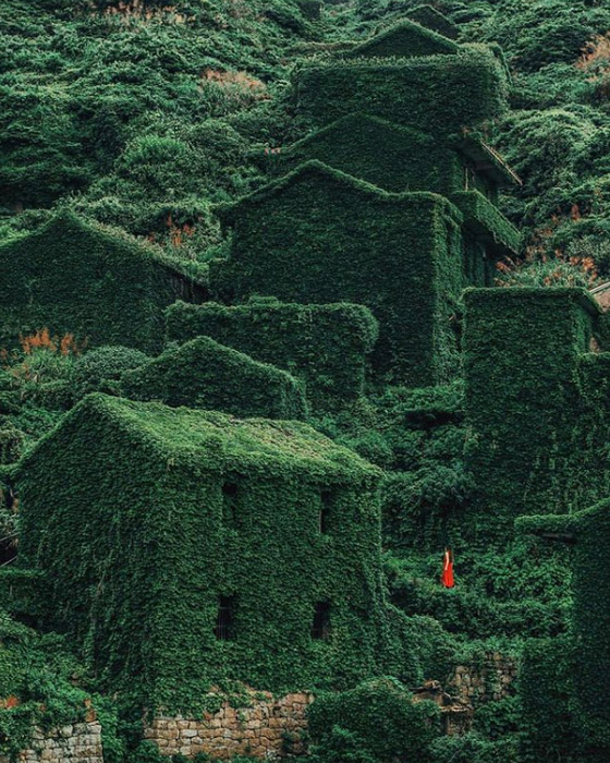 هوتوان.. قرية مهجورة ساحرة غمرتها الأعشاب! صور صورة رقم 23