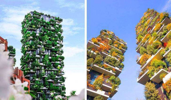 مدينة بلا بلاستيك وتماثيل ضد المخلفات.. ومبادرات نحو عالم أفضل صورة رقم 1