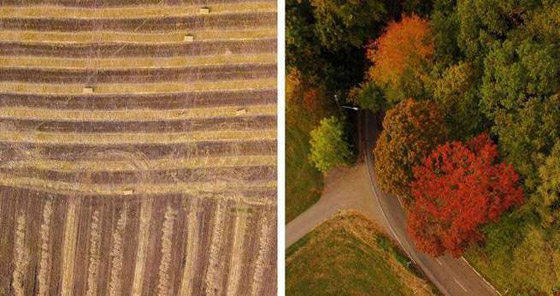 مدينة بلا بلاستيك وتماثيل ضد المخلفات.. ومبادرات نحو عالم أفضل صورة رقم 3