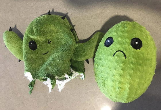 صور تبين الأشياء الغريبة التي فوجئ الناس بوجودها بداخل أشياء أخرى! صورة رقم 2