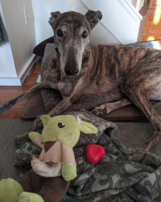 صور تبين الأشياء الغريبة التي فوجئ الناس بوجودها بداخل أشياء أخرى! صورة رقم 7