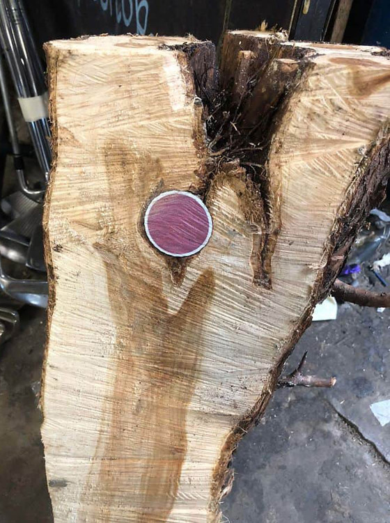 صور تبين الأشياء الغريبة التي فوجئ الناس بوجودها بداخل أشياء أخرى! صورة رقم 9