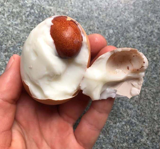 صور تبين الأشياء الغريبة التي فوجئ الناس بوجودها بداخل أشياء أخرى! صورة رقم 11