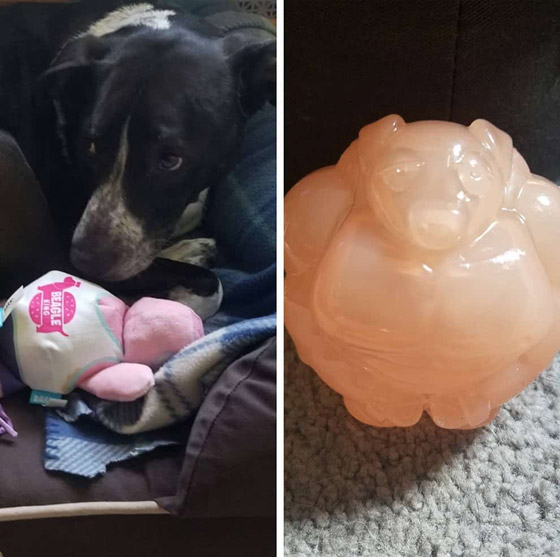 صور تبين الأشياء الغريبة التي فوجئ الناس بوجودها بداخل أشياء أخرى! صورة رقم 18