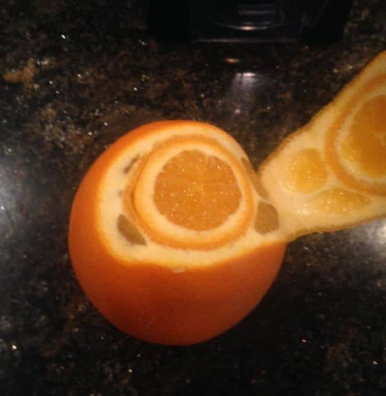 صور تبين الأشياء الغريبة التي فوجئ الناس بوجودها بداخل أشياء أخرى! صورة رقم 19