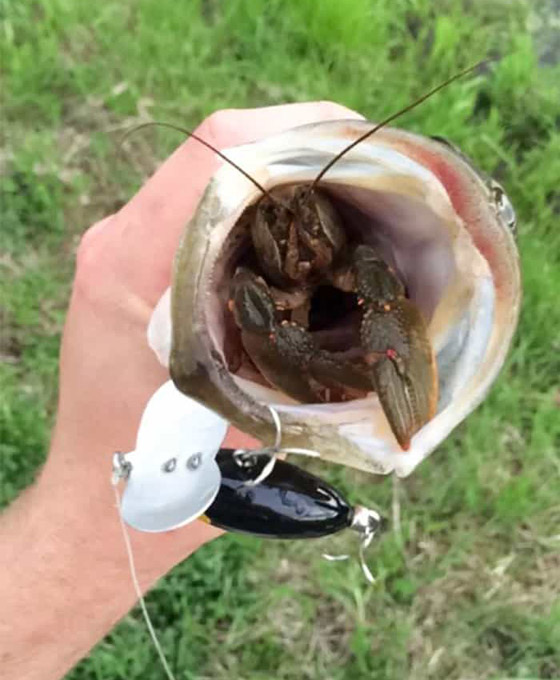 صور تبين الأشياء الغريبة التي فوجئ الناس بوجودها بداخل أشياء أخرى! صورة رقم 23