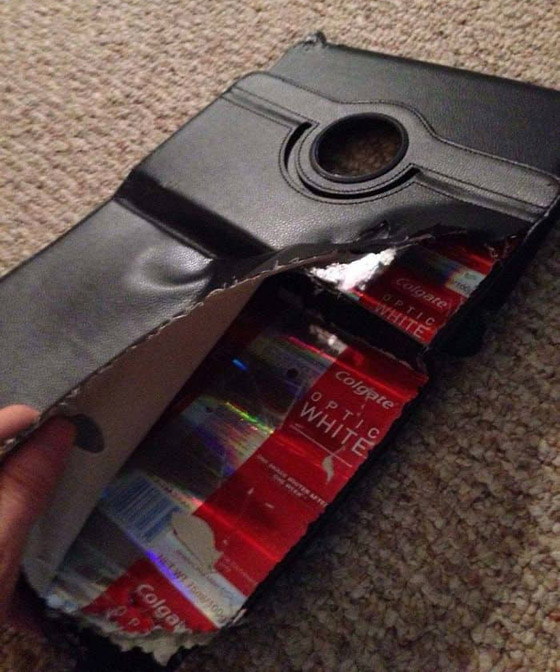 صور تبين الأشياء الغريبة التي فوجئ الناس بوجودها بداخل أشياء أخرى! صورة رقم 27