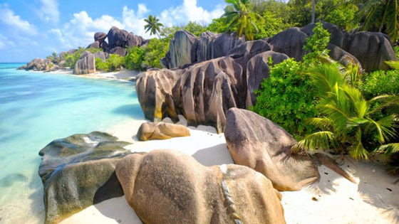 استعادة الحياة الطبيعية بظل الوباء.. دولة إفريقية الأقرب لتحقيق الهدف! صورة رقم 14