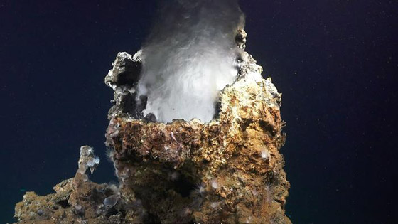 أهلا بكم في عالم آخر.. في أعماق البحار الغامضة والمثيرة صورة رقم 1