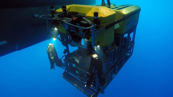 أهلا بكم في عالم آخر.. في أعماق البحار الغامضة والمثيرة صورة رقم 2