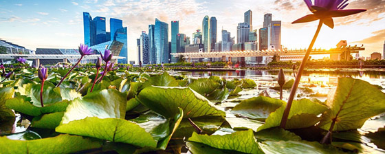 سنغافورة: ماذا نتعلم من البلد الآسيوي المولع بالنظافة لدرجة حظر العلكة؟ صورة رقم 1