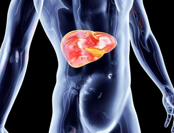 كهرباء المخ.. وأغرب الحقائق عن الجسم البشري صورة رقم 9