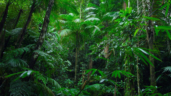 مفاجأة صادمة.. 3% فقط من أراضي العالم سليمة بيئيا! صورة رقم 1