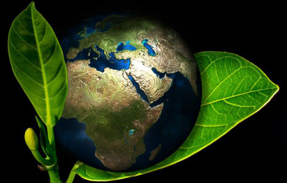 مفاجأة صادمة.. 3% فقط من أراضي العالم سليمة بيئيا! صورة رقم 6