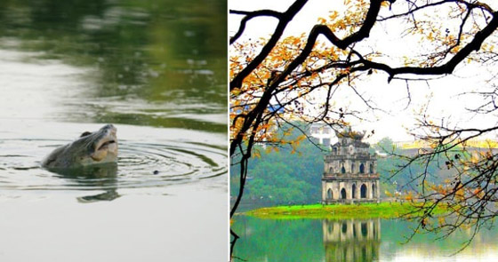 بالصور: تعرفوا إلى 10 من أغرب الأساطير التي تبيّن أنها حقيقة! صورة رقم 1