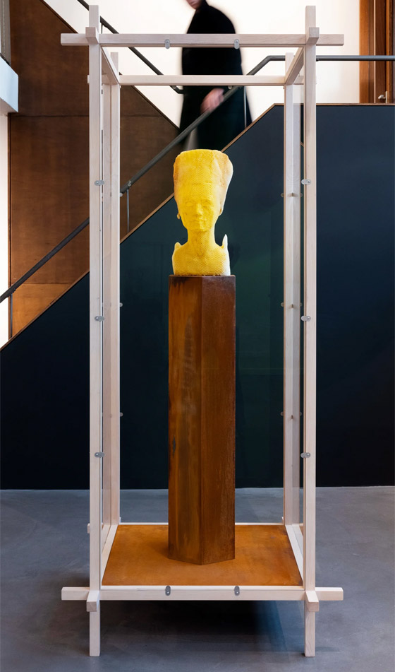 فنان يستخدم 60 ألف نحلة لصنع منحوتة ساحرة للملكة المصرية نفرتيتي صورة رقم 5