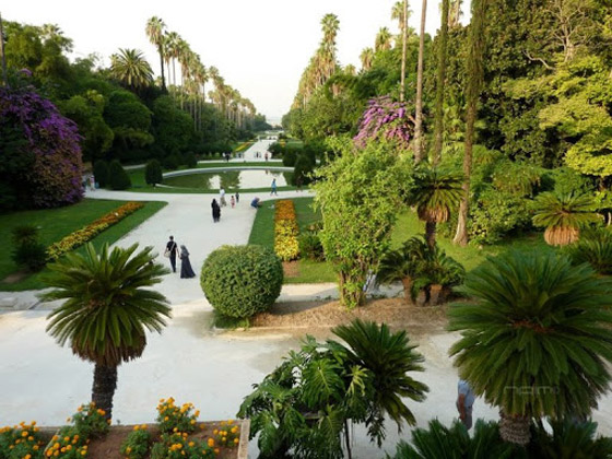 حديقة التجارب.. صوِّرت فيها أول نسخة لفيلم “طرزان” وجُلبت لها الأشجار من كل أنحاء العالم”  صورة رقم 9