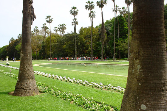 حديقة التجارب.. صوِّرت فيها أول نسخة لفيلم “طرزان” وجُلبت لها الأشجار من كل أنحاء العالم”  صورة رقم 10