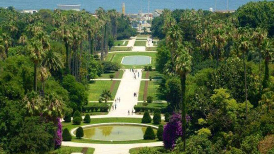 حديقة التجارب.. صوِّرت فيها أول نسخة لفيلم “طرزان” وجُلبت لها الأشجار من كل أنحاء العالم”  صورة رقم 3