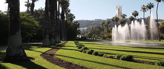 حديقة التجارب.. صوِّرت فيها أول نسخة لفيلم “طرزان” وجُلبت لها الأشجار من كل أنحاء العالم”  صورة رقم 11