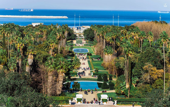 حديقة التجارب.. صوِّرت فيها أول نسخة لفيلم “طرزان” وجُلبت لها الأشجار من كل أنحاء العالم”  صورة رقم 4