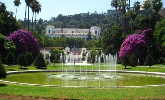 حديقة التجارب.. صوِّرت فيها أول نسخة لفيلم “طرزان” وجُلبت لها الأشجار من كل أنحاء العالم”  صورة رقم 12