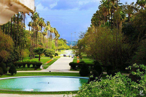 حديقة التجارب.. صوِّرت فيها أول نسخة لفيلم “طرزان” وجُلبت لها الأشجار من كل أنحاء العالم”  صورة رقم 13