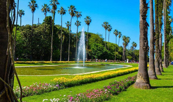 حديقة التجارب.. صوِّرت فيها أول نسخة لفيلم “طرزان” وجُلبت لها الأشجار من كل أنحاء العالم”  صورة رقم 7