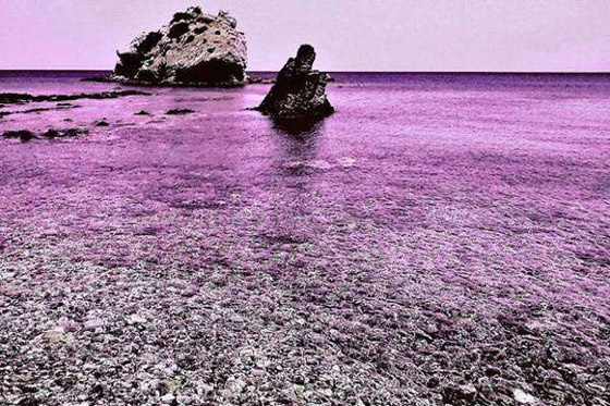 «جزيرة ينجيلاب».. والعاصفة التي أصابت كل سكانها بعمى الألوان صورة رقم 6