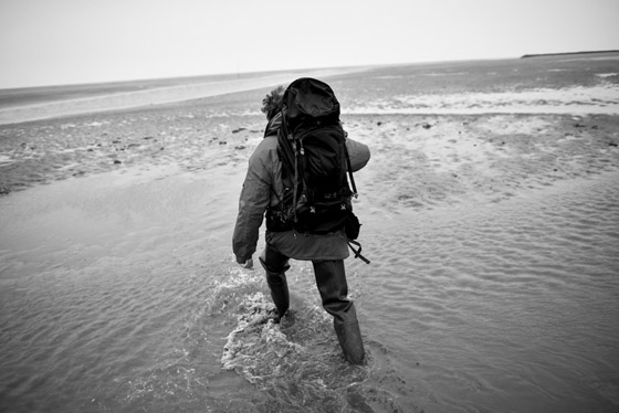 «جزيرة ينجيلاب».. والعاصفة التي أصابت كل سكانها بعمى الألوان صورة رقم 5