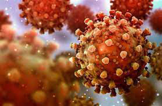 دراسة: فيروس كورونا موجود منذ 25 ألف عام صورة رقم 3