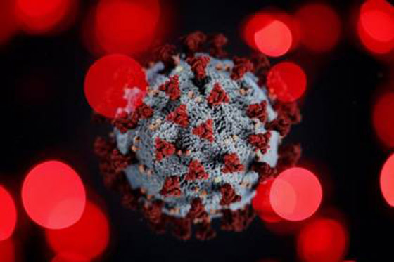 دراسة: فيروس كورونا موجود منذ 25 ألف عام صورة رقم 1