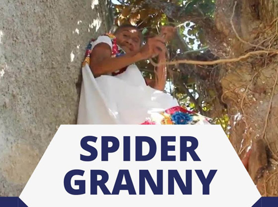 فيديو وصور عجوز مكسيكية (88 عاما) تتسلق الأشجار بلياقة مذهلة لتجني الفاكهة لتبيعها وتقطع الخشب صورة رقم 11