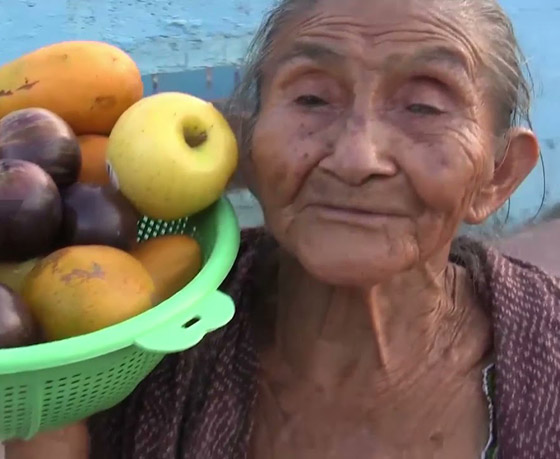 فيديو وصور عجوز مكسيكية (88 عاما) تتسلق الأشجار بلياقة مذهلة لتجني الفاكهة لتبيعها وتقطع الخشب صورة رقم 3