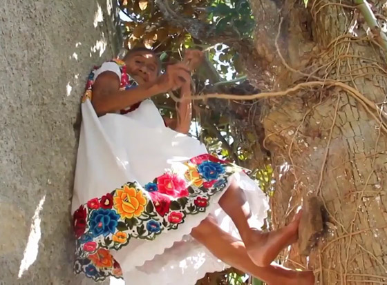 فيديو وصور عجوز مكسيكية (88 عاما) تتسلق الأشجار بلياقة مذهلة لتجني الفاكهة لتبيعها وتقطع الخشب صورة رقم 1