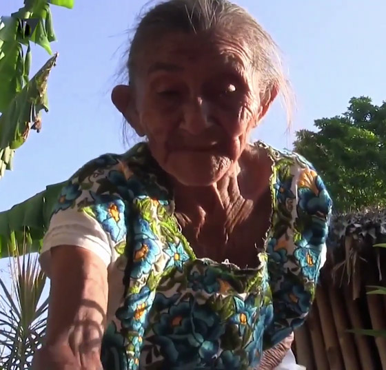 فيديو وصور عجوز مكسيكية (88 عاما) تتسلق الأشجار بلياقة مذهلة لتجني الفاكهة لتبيعها وتقطع الخشب صورة رقم 9