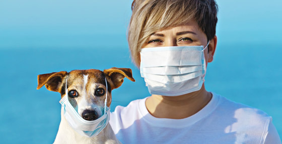 10 أمراض فتاكة انتقلت من الحيوان إلى الإنسان! صورة رقم 1