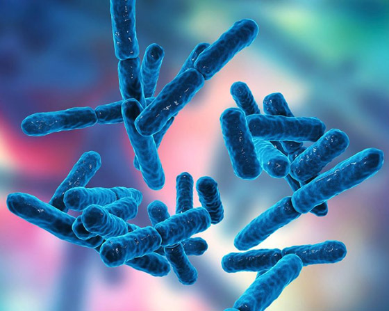 بالصور: تعرفوا إلى أبرز ابتكارات عام 2021 في عالم التكنولوجيا صورة رقم 2