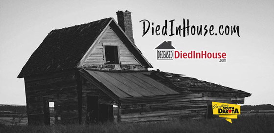 أغرب 6 أفكار تحوّلت إلى شركات ناشئة تُدر الملايين صورة رقم 3