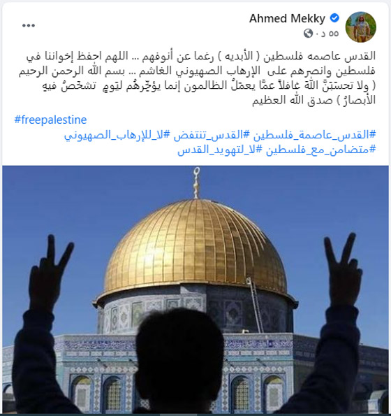 القدس تنتفض: النجوم يدعمون فلسطين: انقذوا حي الشيخ جراح! صورة رقم 7 القدس تنتفض: النجوم يدعمون فلسطين: انقذوا حي الشيخ جراح! صورة رقم 7