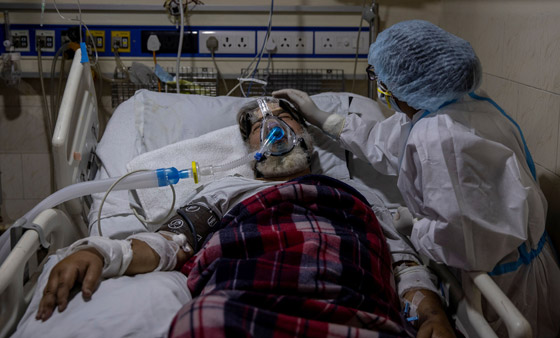 الهند تعلن تفشي وباء الفطر الأسود القاتل وتثير القلق! صورة رقم 7 الهند تعلن تفشي وباء الفطر الأسود القاتل وتثير القلق! صورة رقم 7