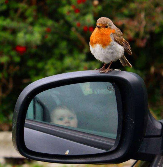 20 صورة ملهمة تساعد على تحسين الحالة النفسية صورة رقم 1