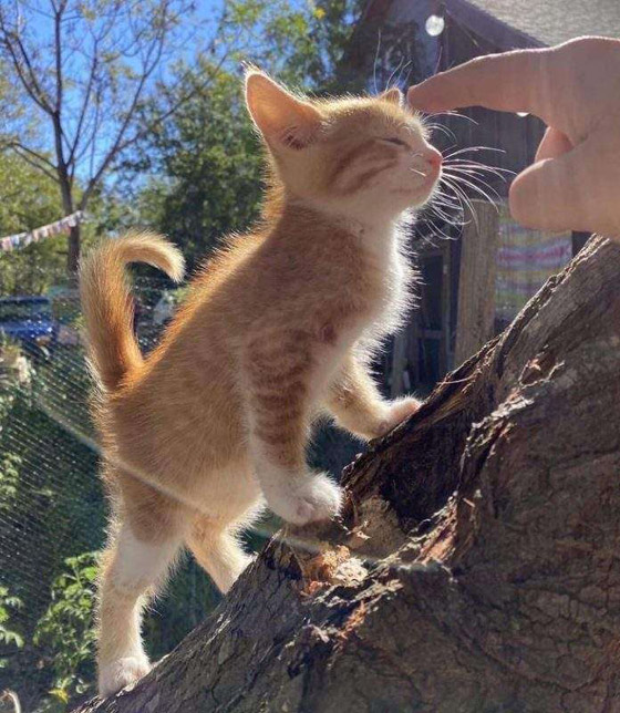 20 صورة ملهمة تساعد على تحسين الحالة النفسية صورة رقم 10