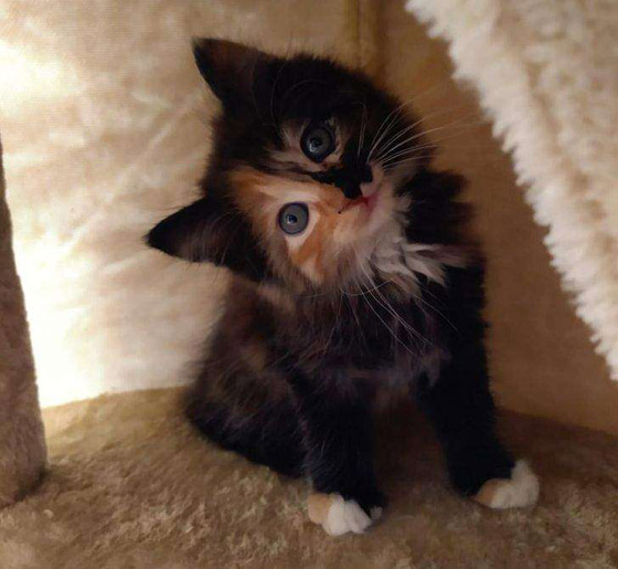 20 صورة ملهمة تساعد على تحسين الحالة النفسية صورة رقم 15