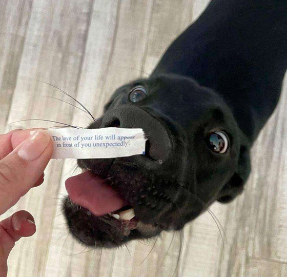 20 صورة ملهمة تساعد على تحسين الحالة النفسية صورة رقم 16