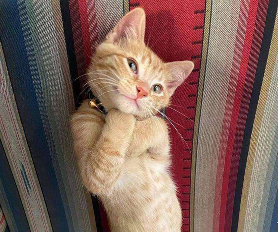 20 صورة ملهمة تساعد على تحسين الحالة النفسية صورة رقم 17