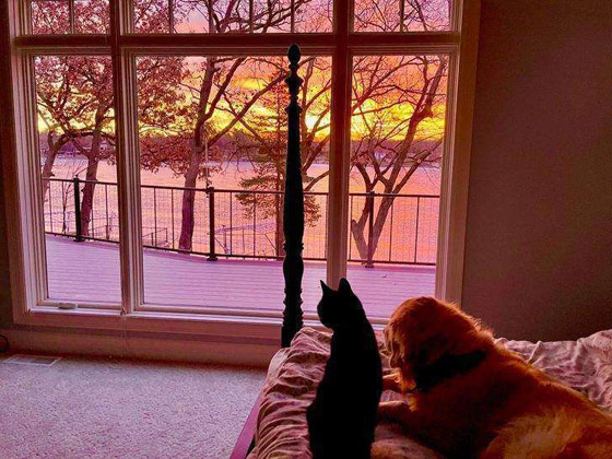 20 صورة ملهمة تساعد على تحسين الحالة النفسية صورة رقم 19