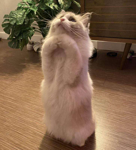 20 صورة ملهمة تساعد على تحسين الحالة النفسية صورة رقم 2